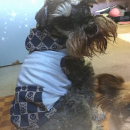 Dwarfさんの作品