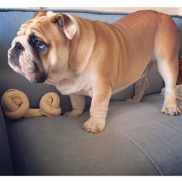 ボクちゃんさんの作品