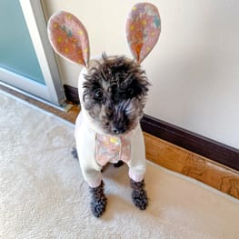 ちゃちゃさんの作品