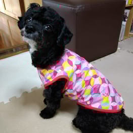 つきまゆさんの作品