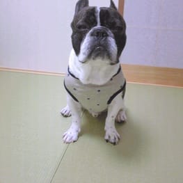 millamillaさんの作品