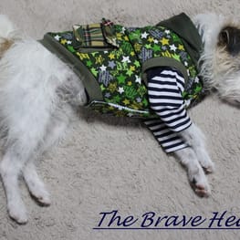 wankokoさんの作品