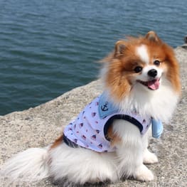 feelgoodさんの作品