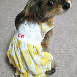 littlelilyさんの作品