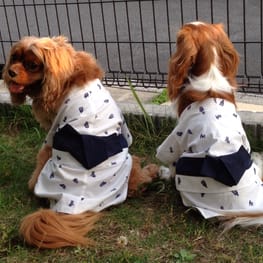 はるさんの作品