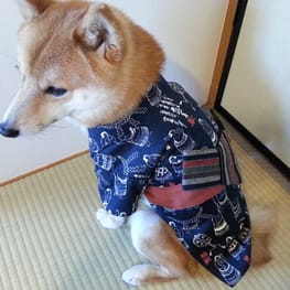 ナツ色さんの作品