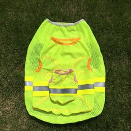 いわしさんの作品