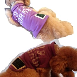 M・trueさんの作品