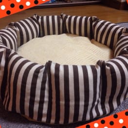 かふぇおれさんの作品