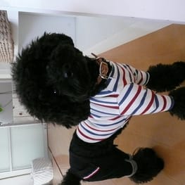 くろねこまめさんの作品