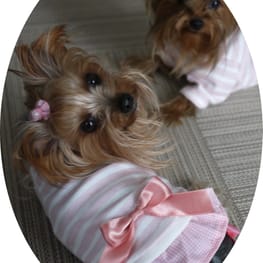 maririnhahaさんの作品