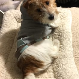 海うさぎさんの作品