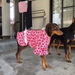 Aliceさんの作品