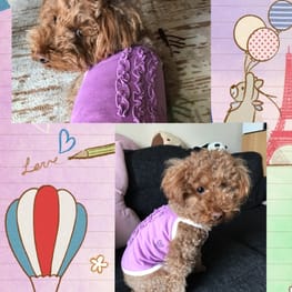 ちょこさんの作品