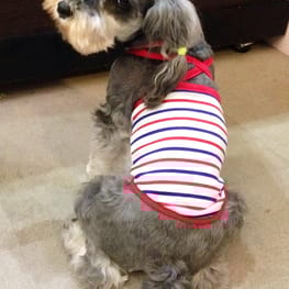 Dwarfさんの作品