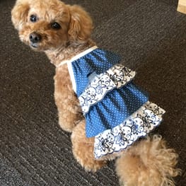 kuuminさんの作品