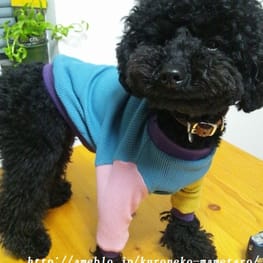 くろねこまめさんの作品