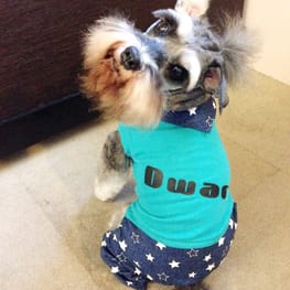 Dwarfさんの作品