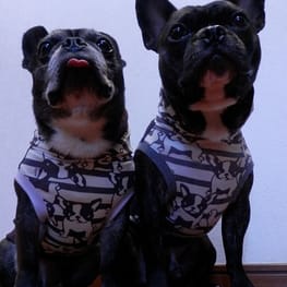 ちびっこさんの作品