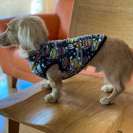 maroazu&Rusk*mamaさんの作品