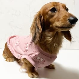 ママリ犬服ハンドメイド ハンドメイド犬服 S、M（犬服 タンクトップ(S) ꒡̈⃝Lily