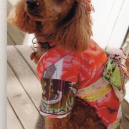 ちみこママさんの作品