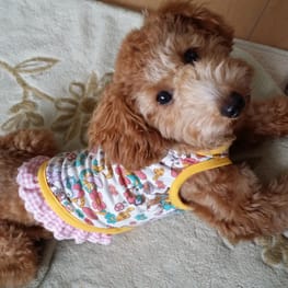 luce*さんの作品