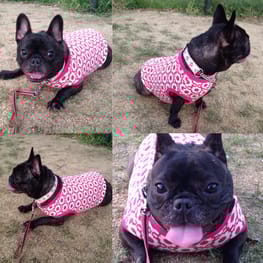 咲桜さんの作品