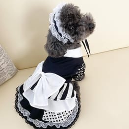 ちゃちゃさんの作品