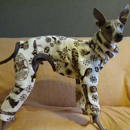 ちょここさんの作品