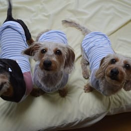 ひなはなさんの作品