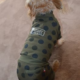 ひなはなさんの作品