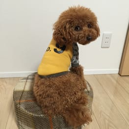 nuttyさんの作品