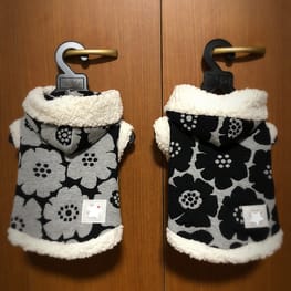 てるりんさんの作品