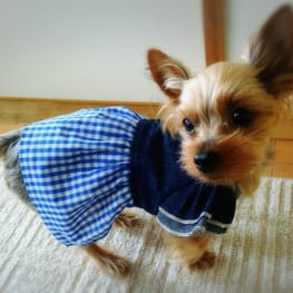 あきねこぱんださんの作品