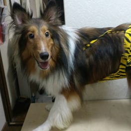 yukigesikiさんの作品