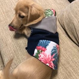 Asamilkさんの作品