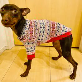 ノラあざらしさんの作品