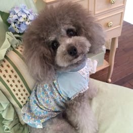 シロさんの作品