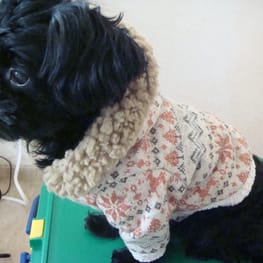 うさうささんの作品