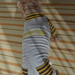 ひなはなさんの作品