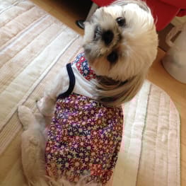 かよママさんの作品