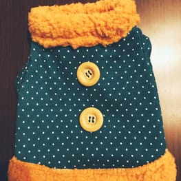 ぷっちょんさんの作品