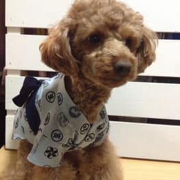 ちょここさんの作品