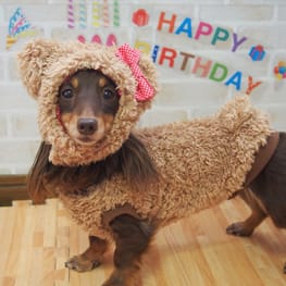 mamehanasoraさんの作品