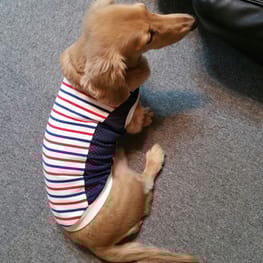 ちみさんの作品