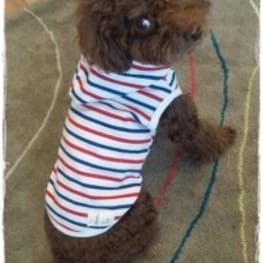 hironさんの作品