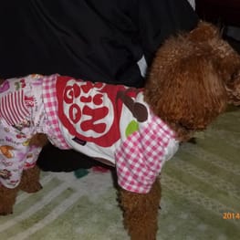 ちみこママさんの作品