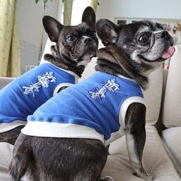 ちびっこさんの作品