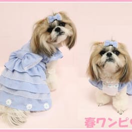 ここあずままさんの作品